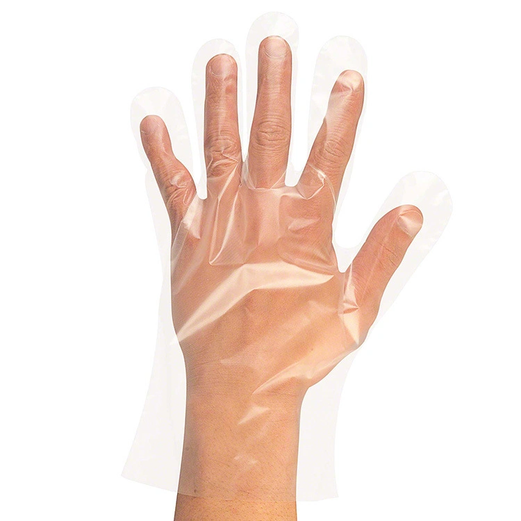 Disposable Glove HDPE Clear Color Plastic Polythene PE CPE LDPE TPE Glove